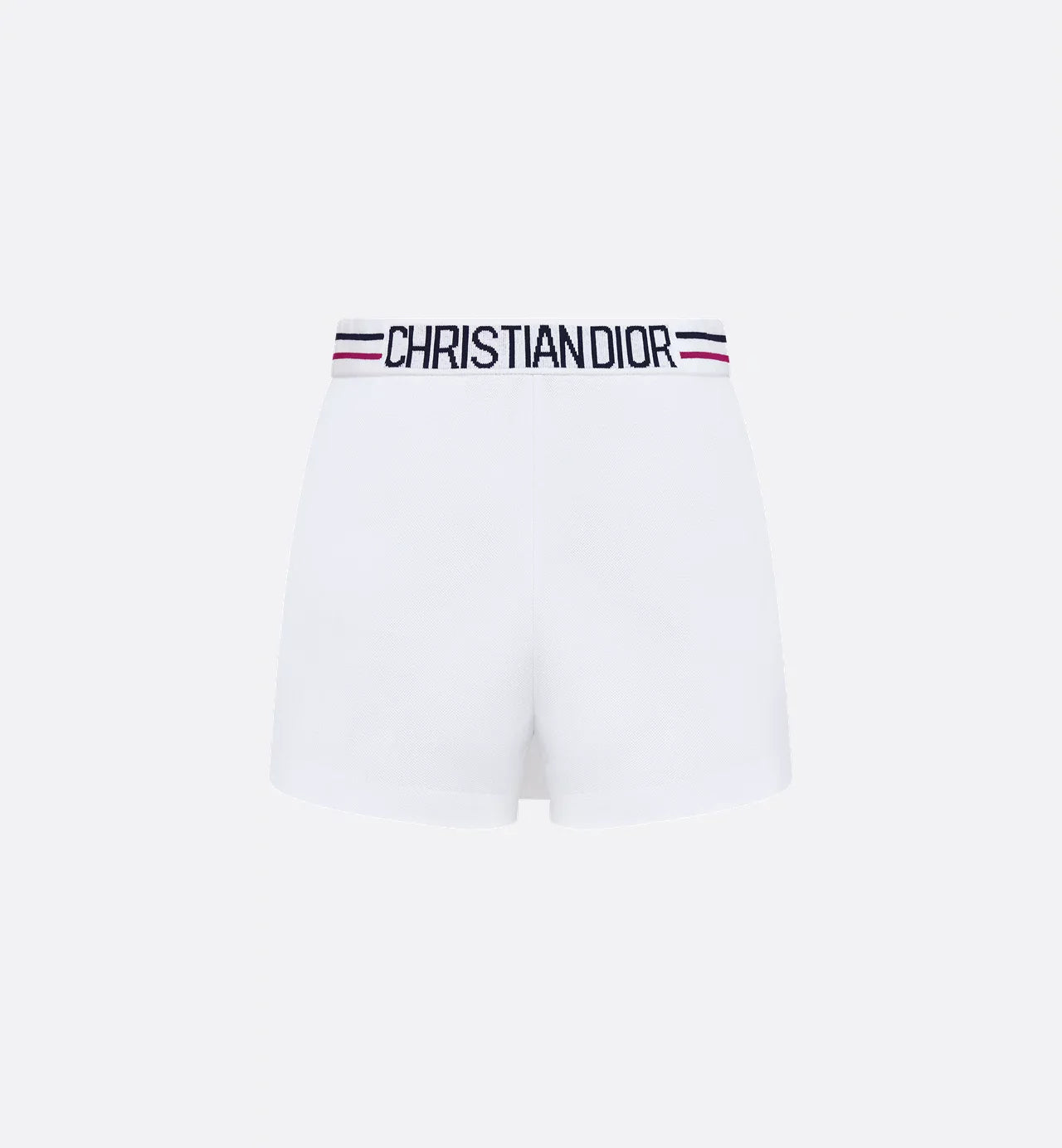 FALDA PANTALÓN DI0R