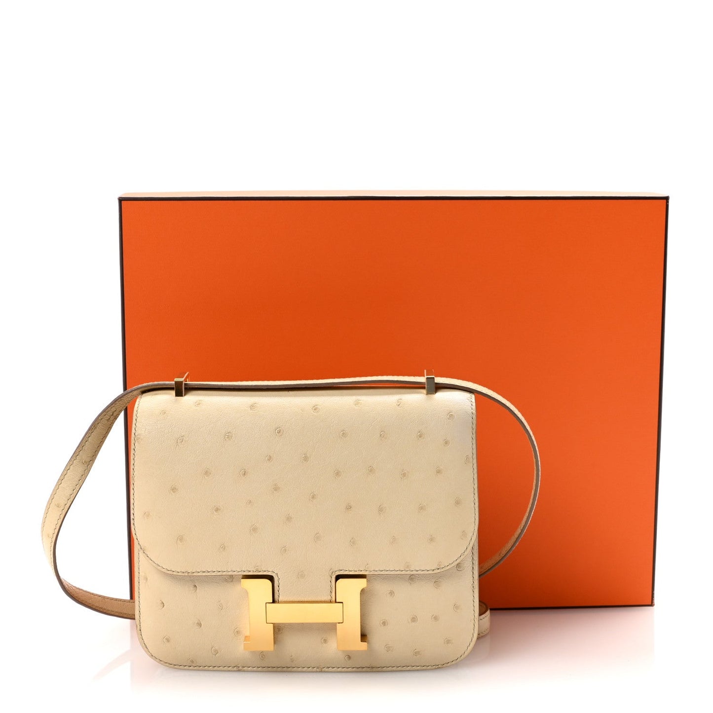 Ostrich Constance 18 Parchemin