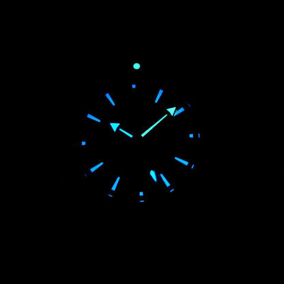 SEAMASTER PROFESSIONAL PLANET OCEAN 600M STEEL CASE BLACK DIAL