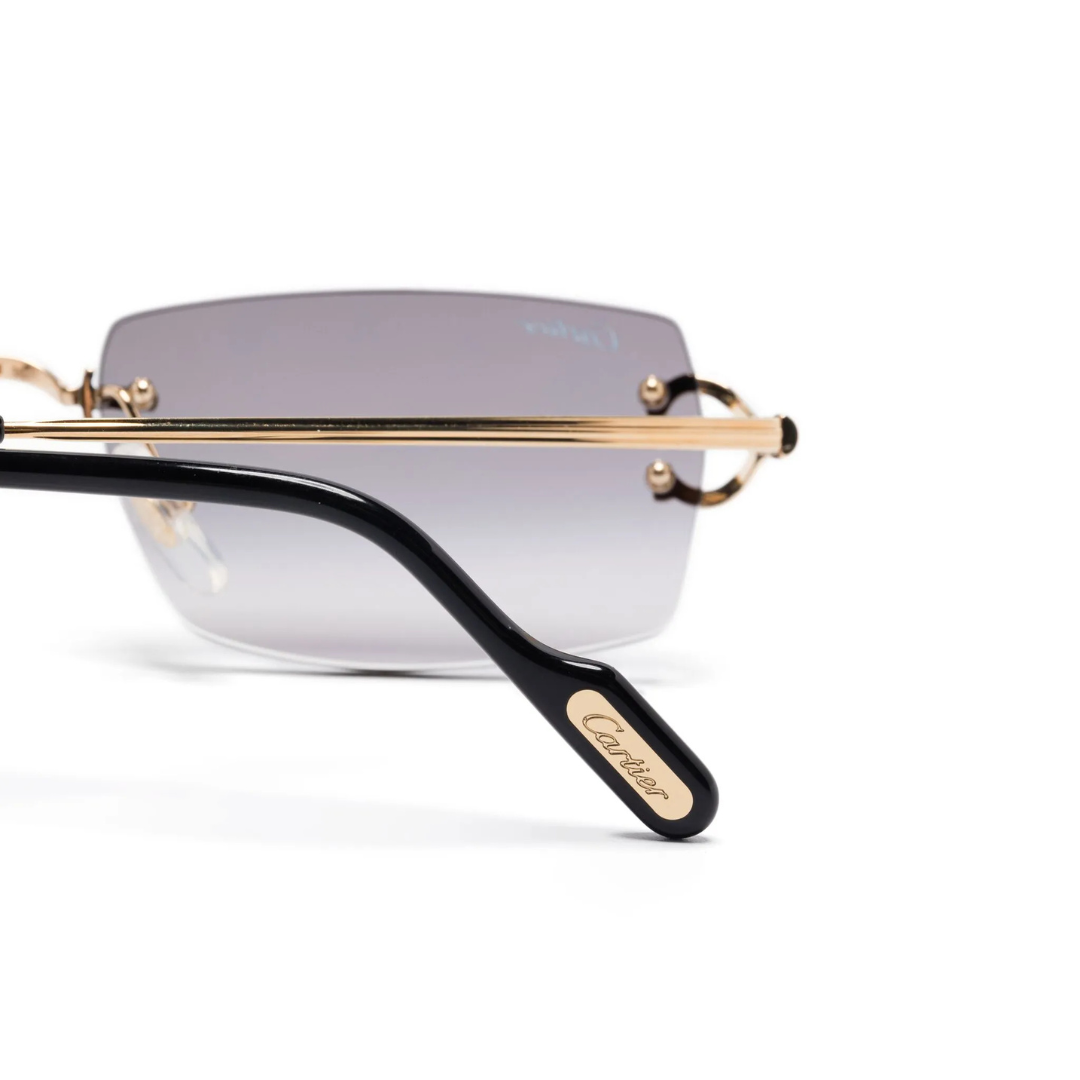 Monochromatic Sunglasses