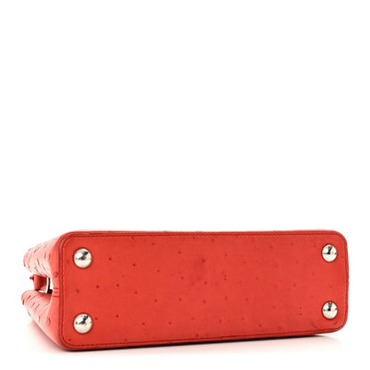 Ostrich Capucines BB Coquelicot