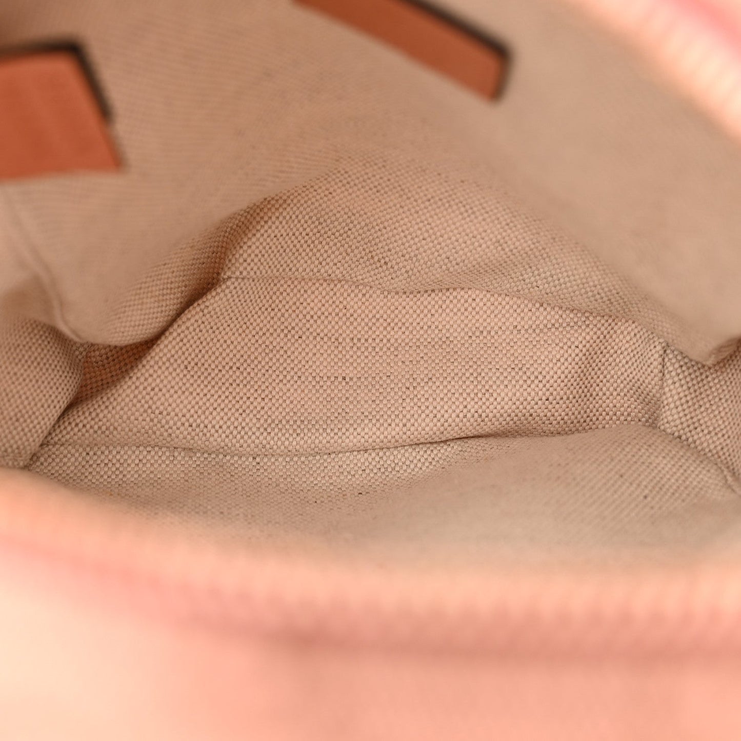 Monogram Textured Dollar Calfskin Mini Ophidia Crossbody  Cloche Rose Pink