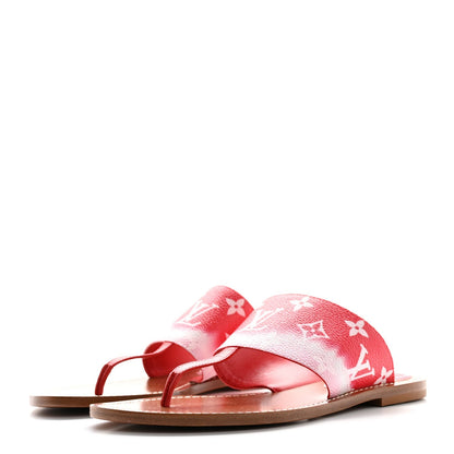 Louis Vuitton - Calzado