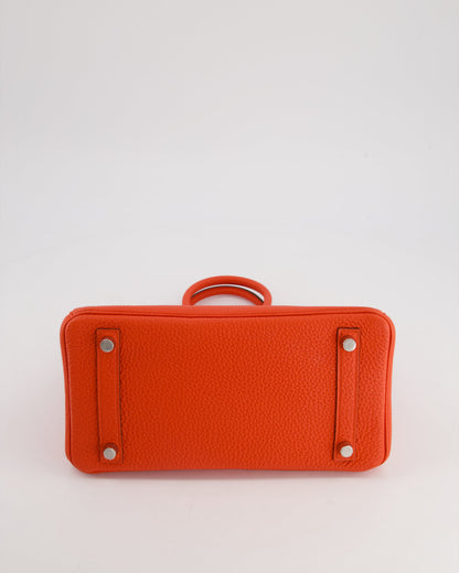 Hermès Birkin 25cm Bag in Capucine Togo Leather and Palladium Hardware