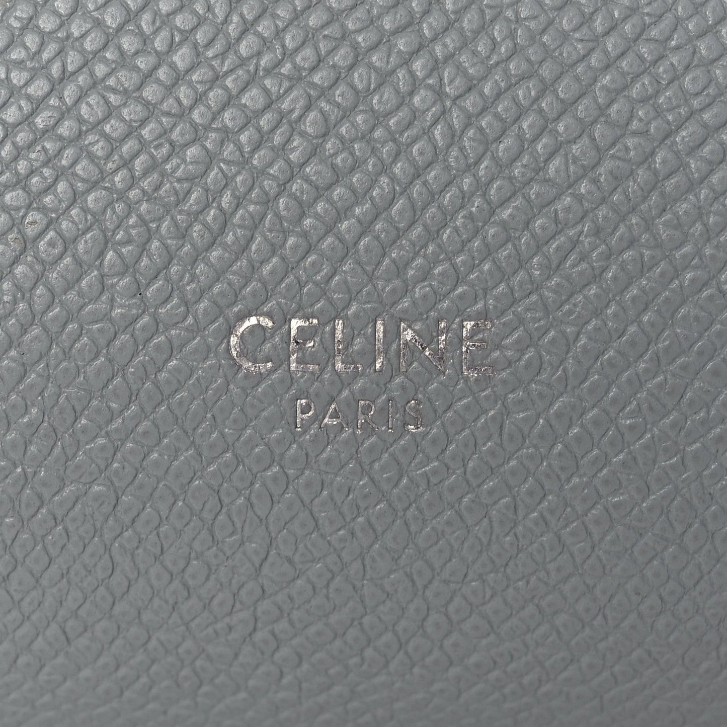 Grained Calfskin Nano Belt Bag Mineral