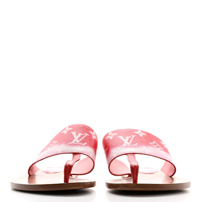 Louis Vuitton - Calzado