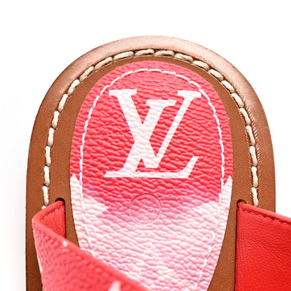 Louis Vuitton - Calzado